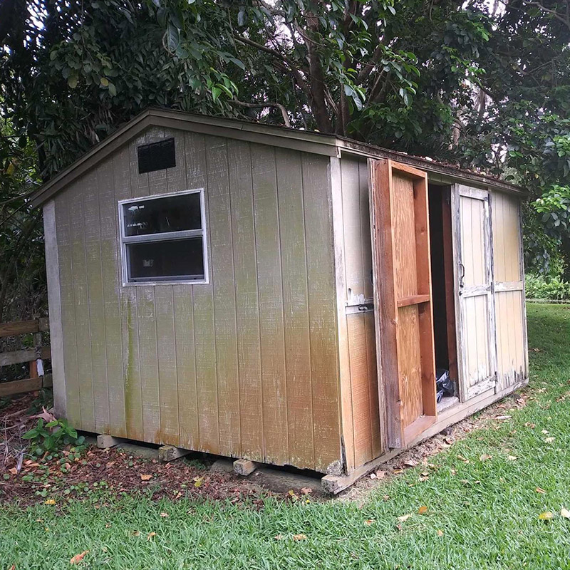 shed-removal